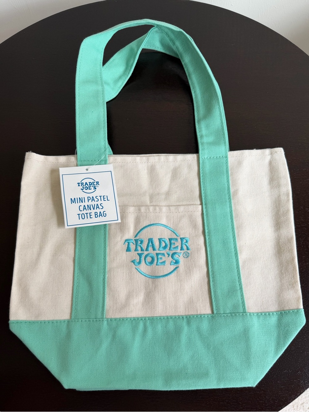 Mini Pastel Canvas Tote Bag in Mint
